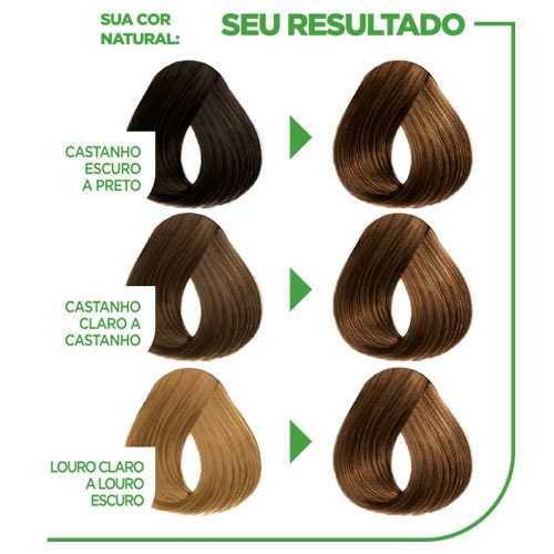 Capuccino 43 Castanho Dourado | Seu Resultado | Garnier